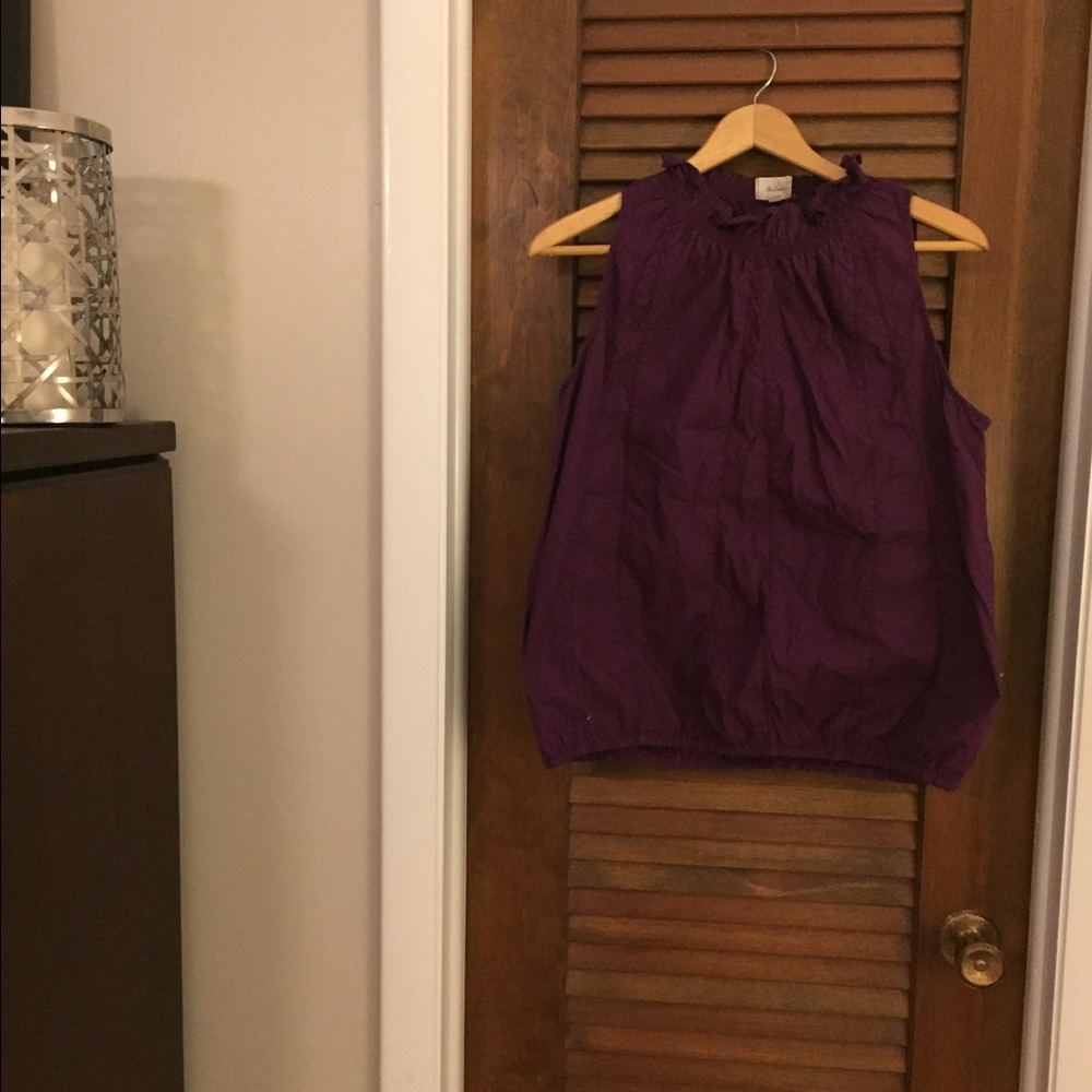 The Limited blouse